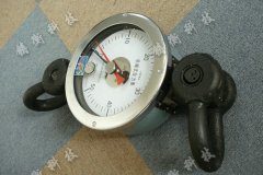 ����ָ�ʽ������Ӌ(j��)